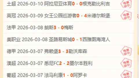 翁泓阳2-0战胜小波波夫，夺得2025年瑞士公开赛男单金牌